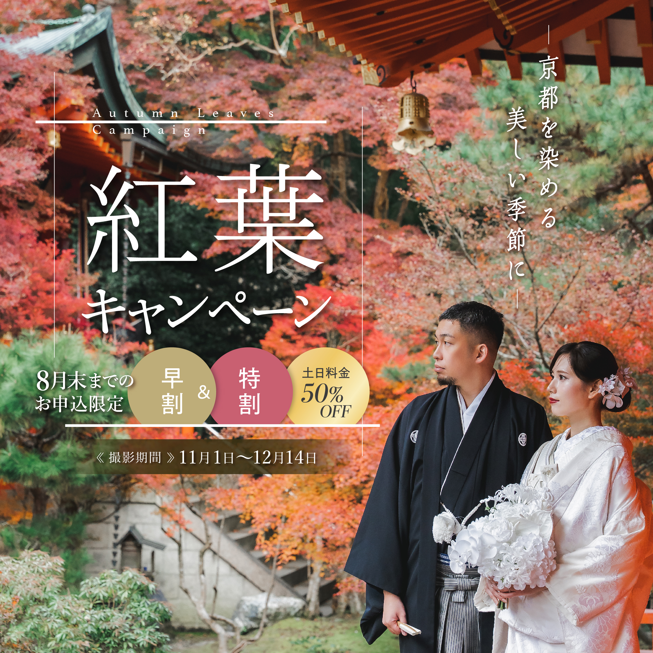 紅葉キャンペーン