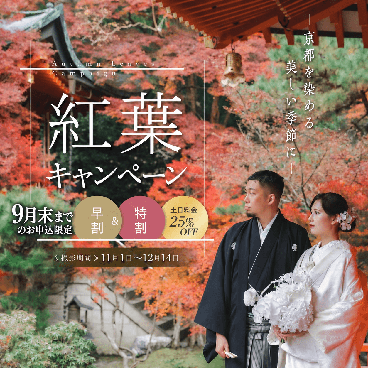 紅葉キャンペーン