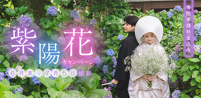 紫陽花キャンペーン